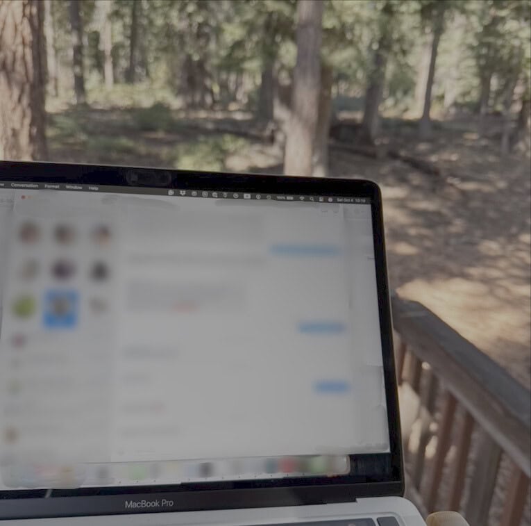 Laptop screen with a forest background