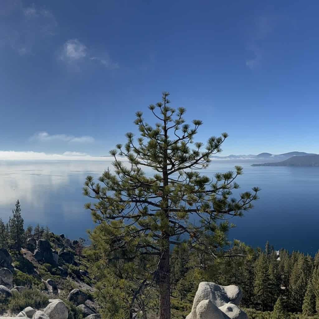Lake Tahoe, California, panoramic view